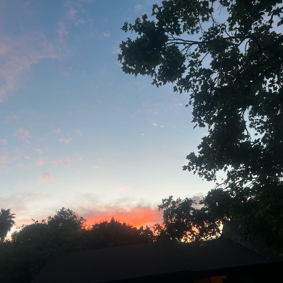 Meet your Posher, Jenny - Picture 1 of 1